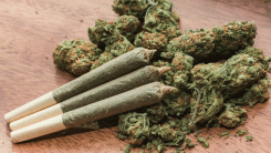 Günlük esrar kullanımı günlük içki tüketimini geçti