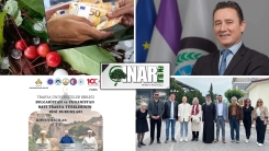 Podcast | Yunanistan ve Batı Trakya'da neler oluyor?