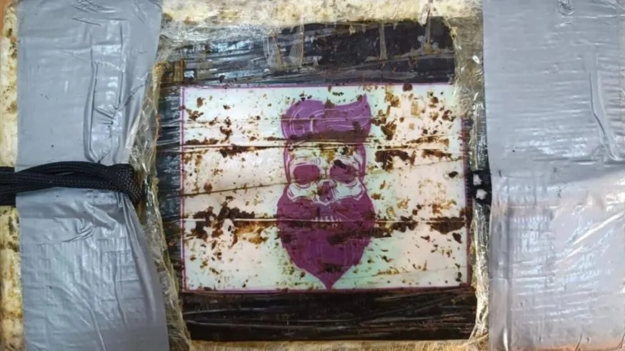 Bir konteyner karides içinde 300 kilo kokain ele geçirildi