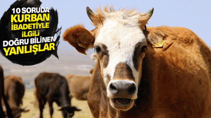 10 soruda kurban ibadetiyle ilgili doğru bilinen yanlışlar