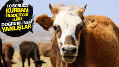 10 soruda kurban ibadetiyle ilgili doğru bilinen yanlışlar