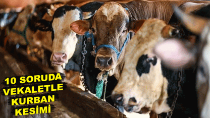 10 soruda vekaletle kurban kesimi