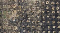 İspanyol uzmanlardan Meriç yangını için tavsiyeler