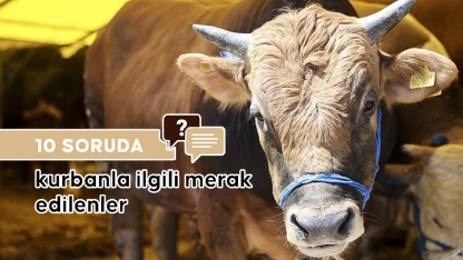 10 soruda kurbanla ilgili merak edilenler