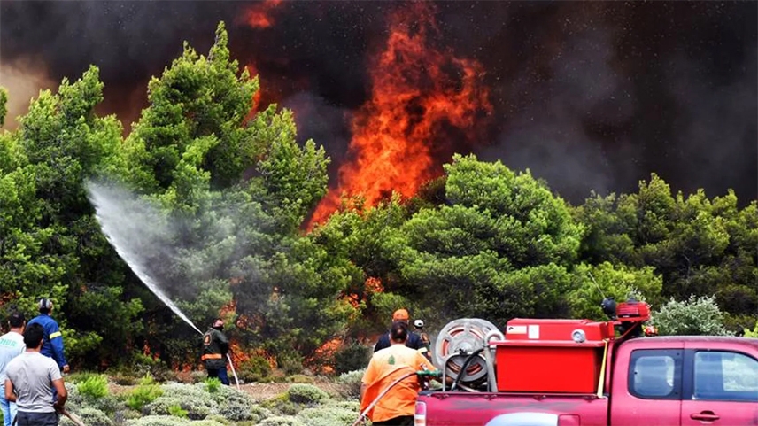 Orman yangını çıktı