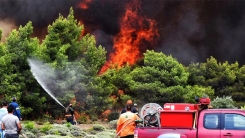Orman yangını çıktı