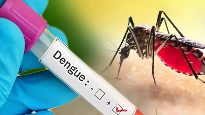 Sivrisineğe bağlı Dang humması vakaları hızla artıyor