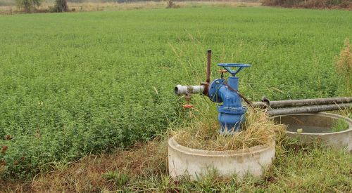 İlhan AHMET, POMONA cezalarına indirim  ve yeni başvuru süresi için uzatma talep etti