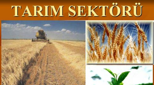 Yunanistan'da Tarım Sektörünün İş İmkanı Sağlayacağı 10 İhtisas Alanı