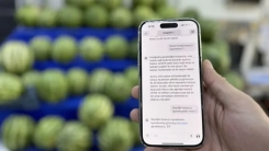 Yok artık dedirtecek; Karpuzu da yapay zeka seçecek