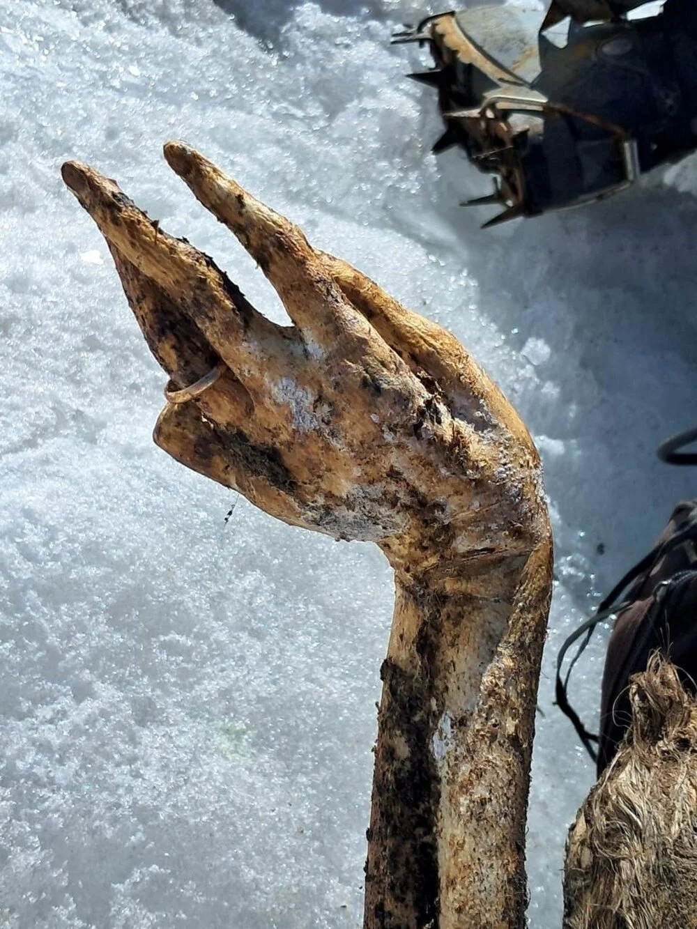 Kayıp dağcı 22 yıl sonra bulundu