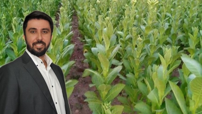 Milletvekili Özgür Ferhat tütün üreticileri için devrede