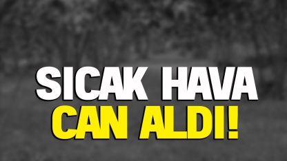 Sıcak havalar can aldı