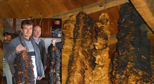 Kardere'de bir soydaşın tütünleri yandı