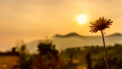 Yunanistan'daki araştırmaya göre iklim krizi kentlerde taşraya göre daha etkili