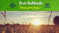 Podcast | Sıcaklık rekorları iklim krizine dair neyi gösteriyor?