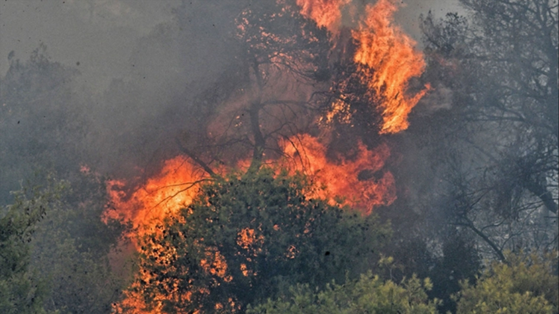 Yunanistan'ın birçok bölgesi yüksek yangın riskiyle karşı karşıya
