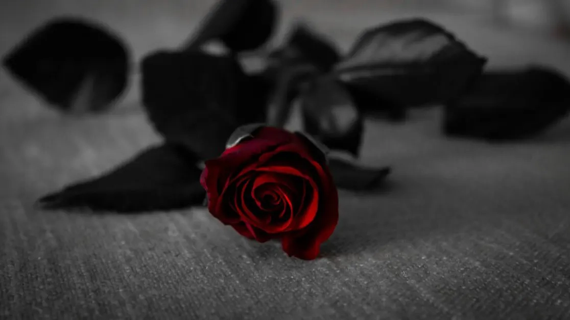 15 yaşında hayata vedan eden Deniz, bugün İskeçe’de defnedilecek