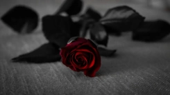 15 yaşında hayata vedan eden Deniz, bugün İskeçe’de defnedilecek