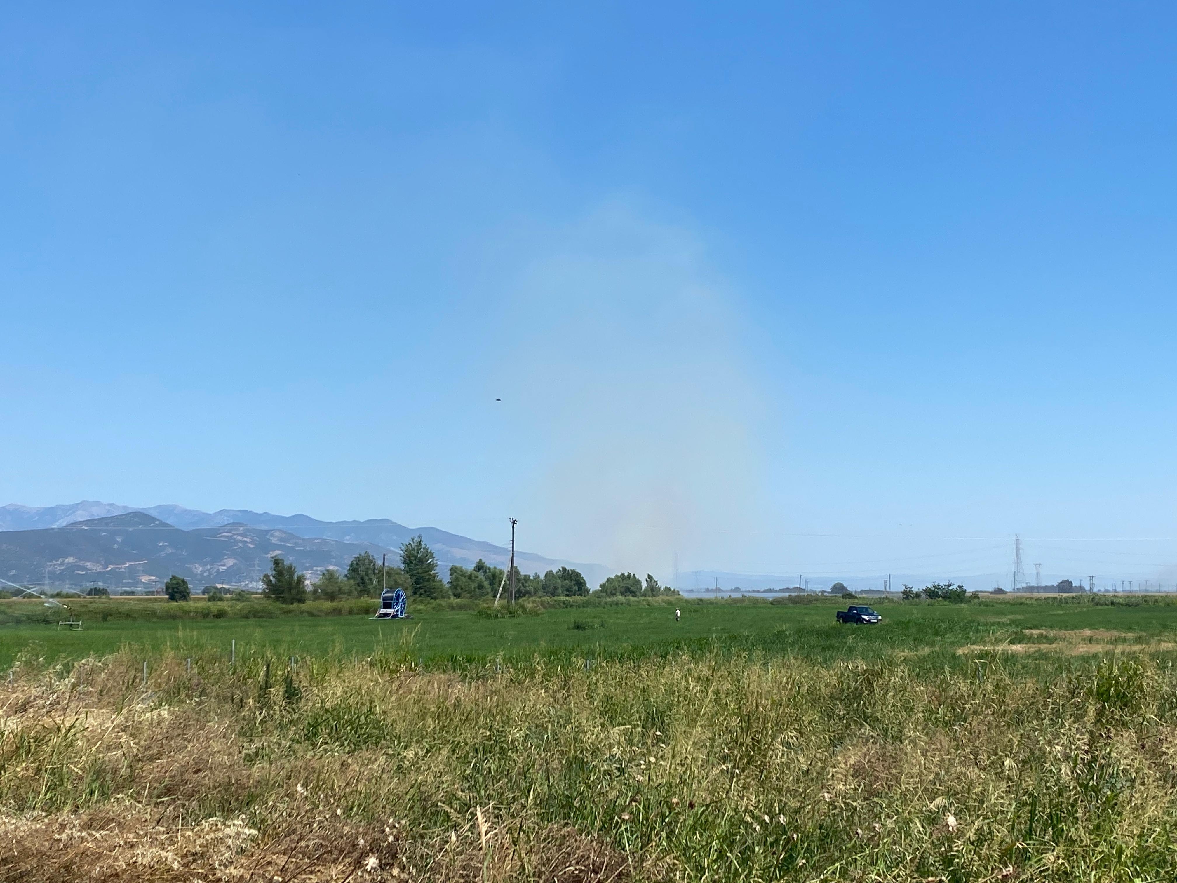 İskeçe'de yangın: Söndürme çalışmaları devam ediyor