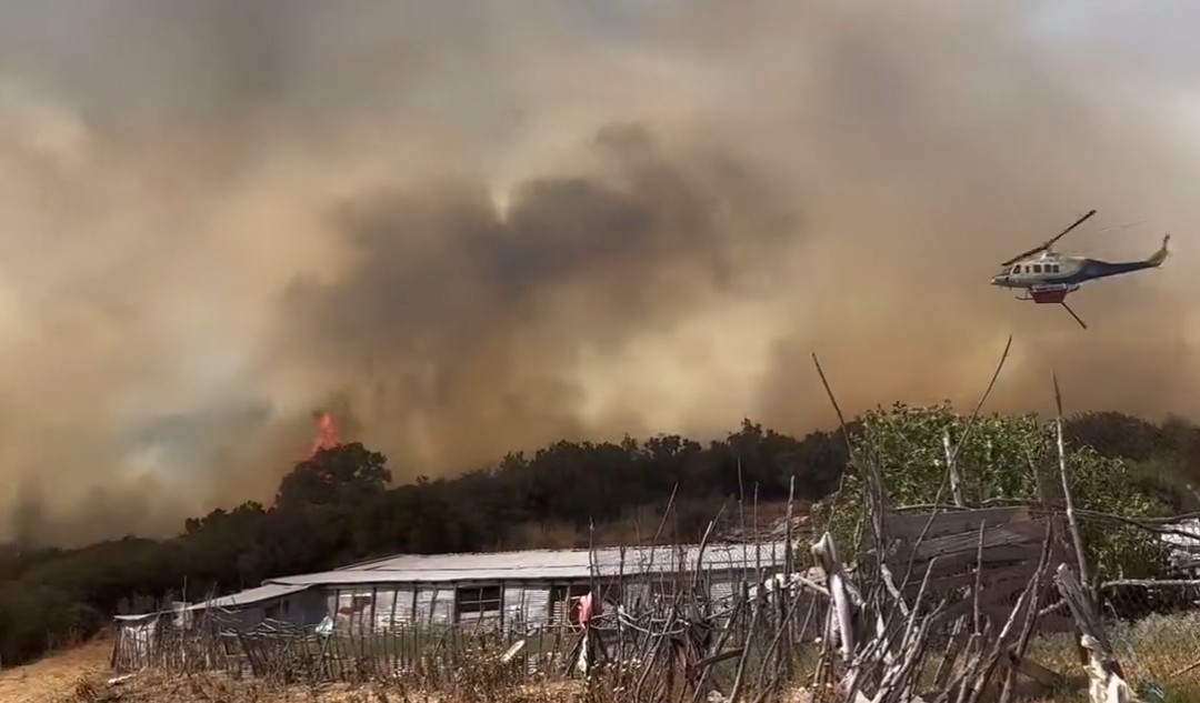 Baldıran yangınıyla ilgili şüpheli yakalandı