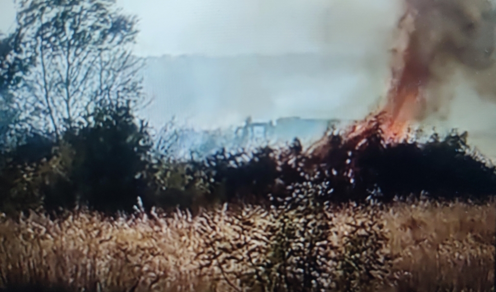 Rodop bölgesinde yangın çıktı