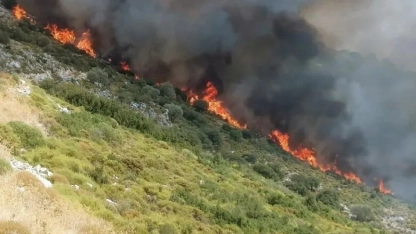 Mustafçova belediyesine bağlı ormanlık alanda çıkan yangın kontrol altına alındı