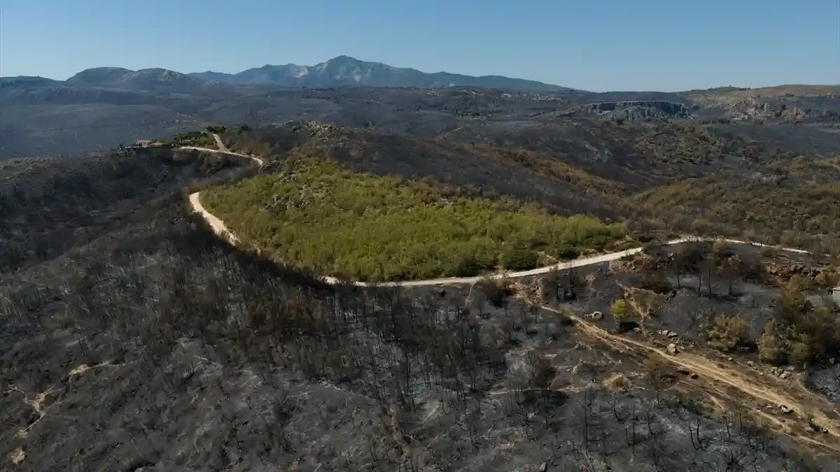 Atina'da yanan ormanlar havadan görüntülendi