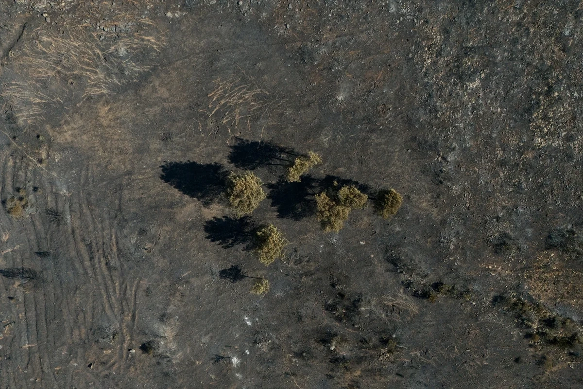 Yunanistan'da yanan ormanlar havadan görüntülendi