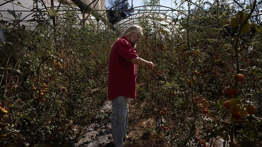 Οrganik tarım kursu verdiği arazi küle dönen Arvanitis, itfaiyeyi suçladı
