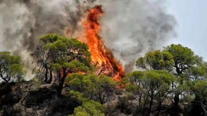 Kavala'nın Paggaio Dağı'ndaki yangın altıncı gününde devam ediyor
