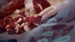 Etlerde listeria bakterisi tespit edildi: 9 ölü