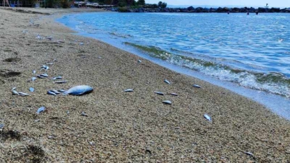 Volos’ta bir çok plaja yüzme yasağı getirildi