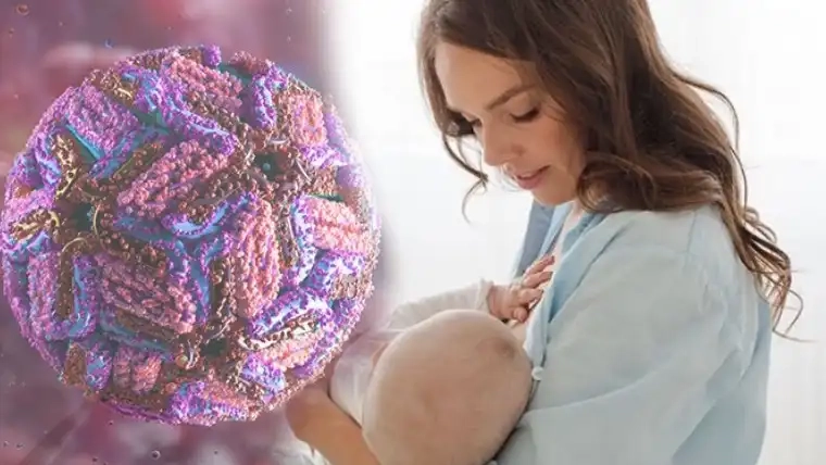 Anneler dikkat! Batı Nil virüsü emzirme ile anneden bebeğe geçebilir