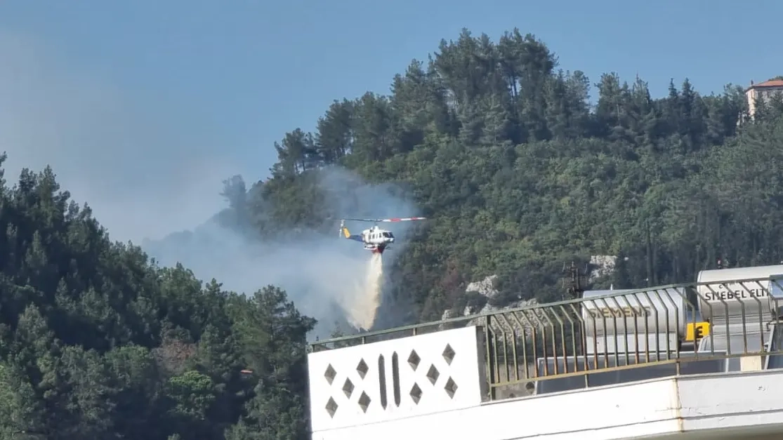 İskeçe'de alarm: Şehrin girişinde ormanlık alanda büyük yangın