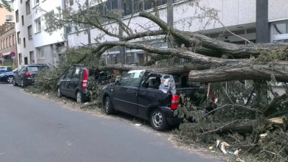 Şiddetli rüzgarlar nedeniyle ağaçlar devrildi, araçlar zarar gördü