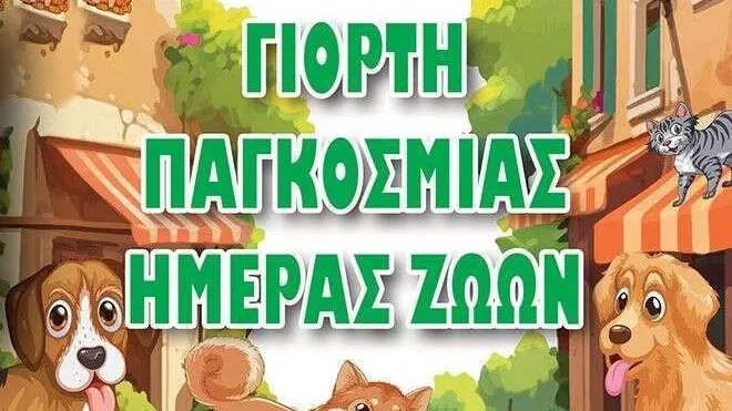 İskeçe Belediyesi sokak hayvanlarına sahip çıkıyor