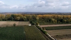 Yunanistan'daki çiftliklerin yüzde 31'i kayboldu