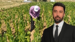 Milletvekili Ferhat, Rodoplu tütüncüler için de “minimis” fonlarının harekete geçirilmesi talep etti