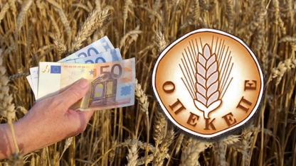 OPEKEPE’den müjde: Tarımsal destek ödemeleri Kasım ortasında tamamlanacak
