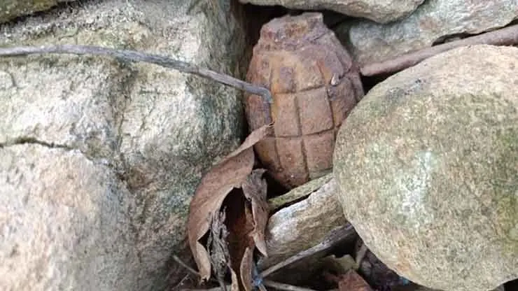 Ceviz toplarken el bombası buldu