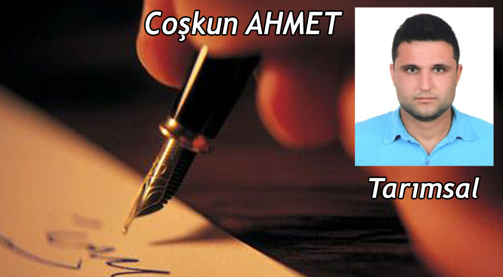 Süt Sığırlarının Beslenmesi - 1