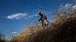 Güneş Adası'nda mahsur kalan 65 göçmen kurtarıldı