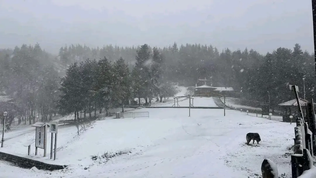 İskeçe'ye yılın ilk karı düştü