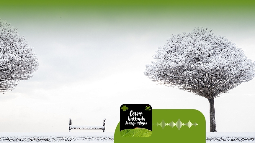 İklim krizi bu kışı nasıl etkileyecek?