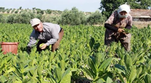 Ο μπασμάς της Θράκης: πυλώνας ευημερίας ή πτώχευσης;