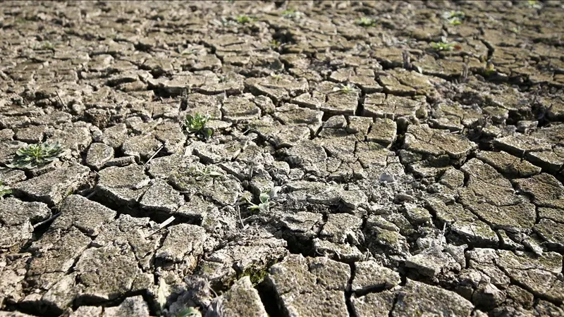 Yunanistan Jeoteknik Odası Trakya Şubesi’nden kuraklık uyarısı