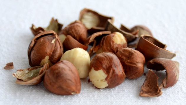 Fındık Yemek Kalbi Koruyor