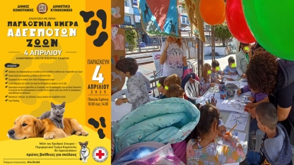 Gümülcine Belediyesi Sokak Hayvanları Günü için etkinlik düzenleyecek