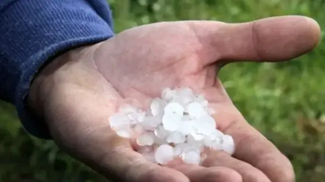 Yeni Sol Parti milletvekileri Meriç'teki dolu zararları için meclise soru sundu